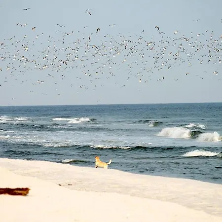 公寓 Meeresrauschen Meerblick 6a