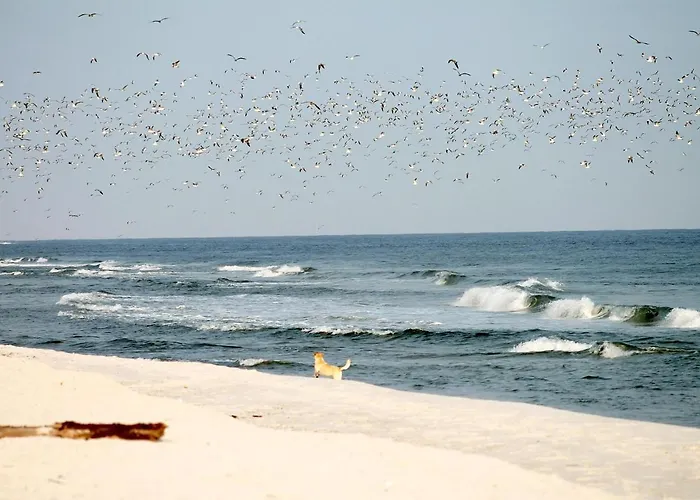 Appartement Meeresrauschen Meerblick 6a